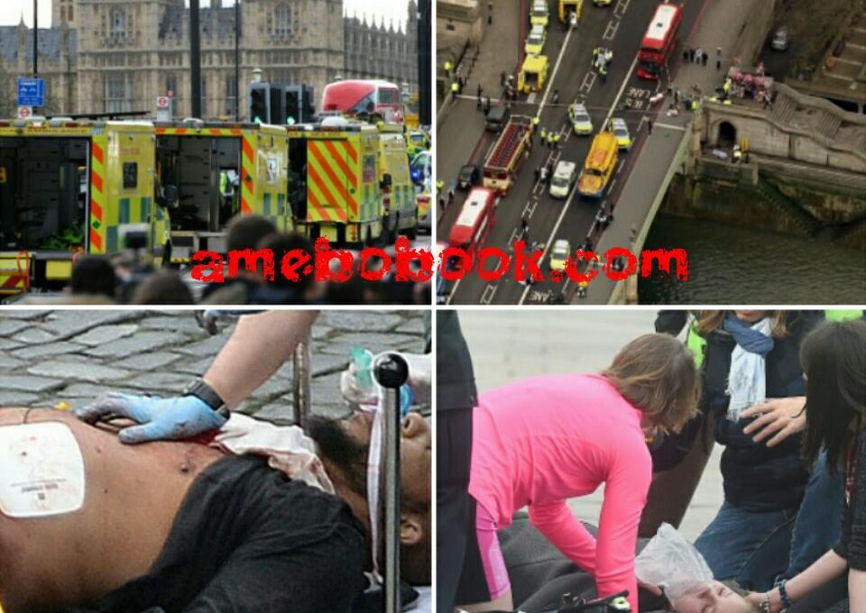 UK Parliament Attack