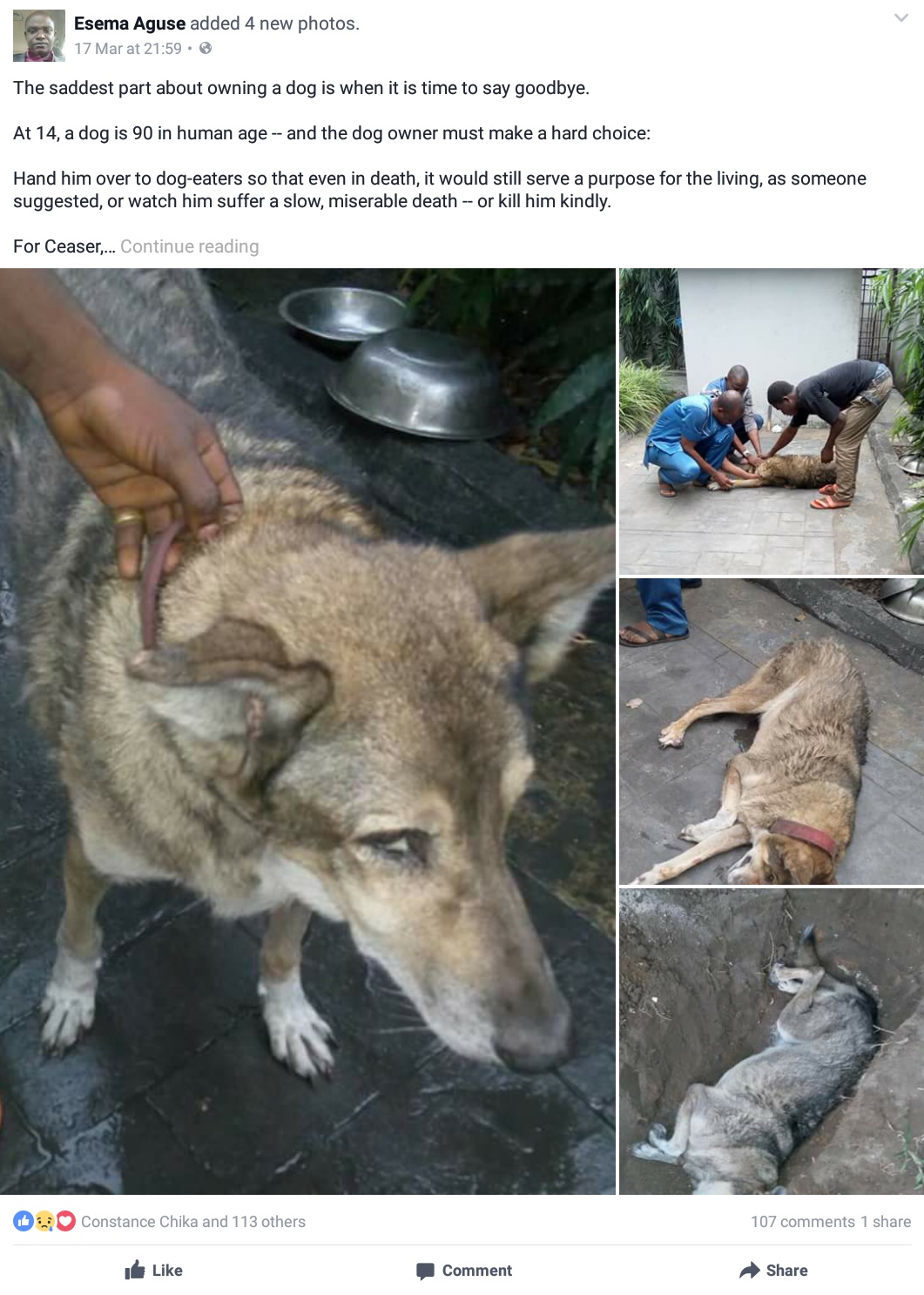 Nigerian Man Has Been Left Heartbroken After He Decided To Put 14-Year-Old Dog Out Of Its Misery To Avoid It Being 'Turned Into A Pot Of Pepper Soup'