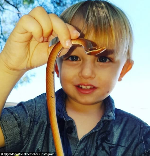 Australia’s Youngest Snake Catcher Jensen Harrison