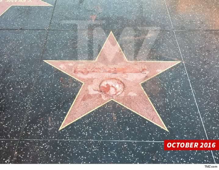 James Otis Vandalizes Donald Trump Star Hollywood Walk of Fame 