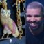 Drake Just Bought A New $120k OVO Owl On Hermes Link Chain