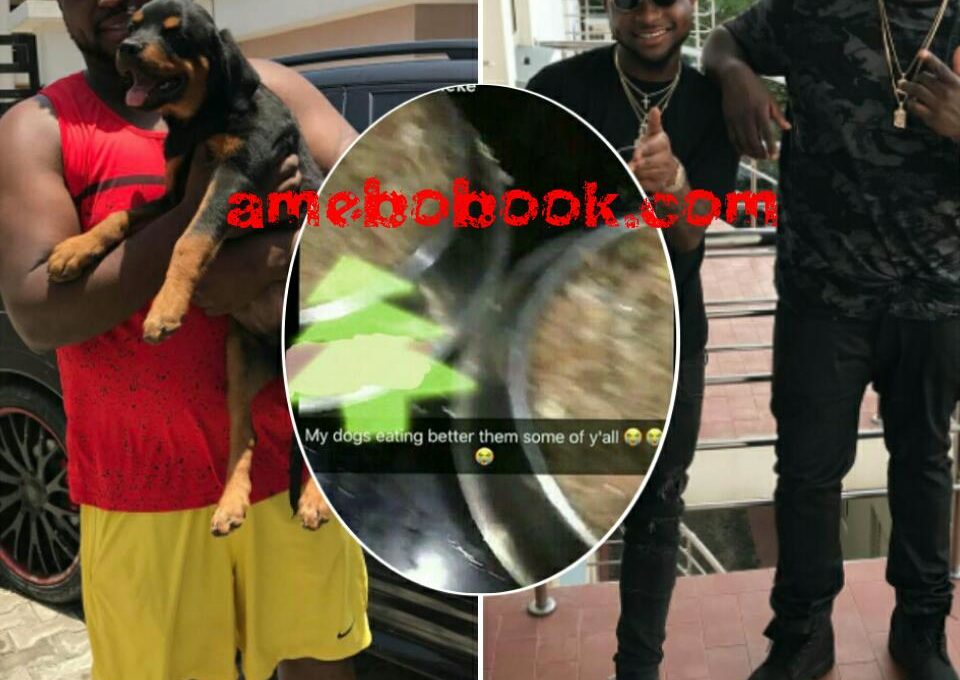Davido's Brother Adewale Adeleke Has Spoken Like An Idiot By Telling His Fans MY DOGS EATING BETTER THEM SOME OF Y'ALL