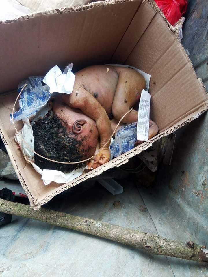 New Born Baby Dumped Inside A Dustbin In Calabar 2