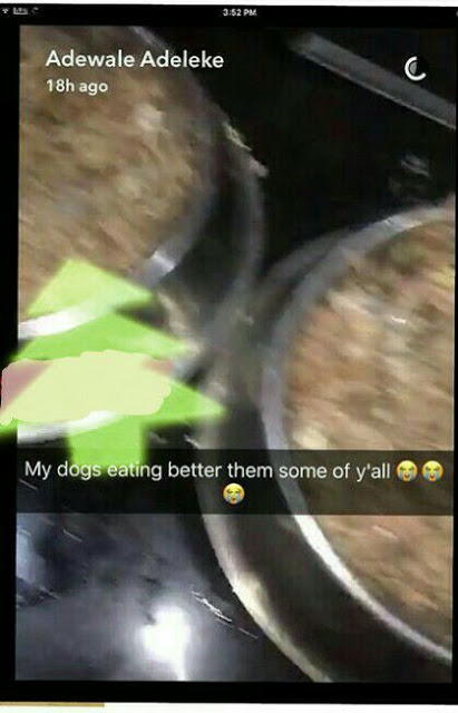Davido's Brother Adewale Adeleke Has Spoken Like An Idiot By Telling His Fans MY DOGS EATING BETTER THEM SOME OF Y'ALL 2