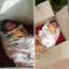 Newborn Baby Found Dumped In Carton Outside A House In Thailand