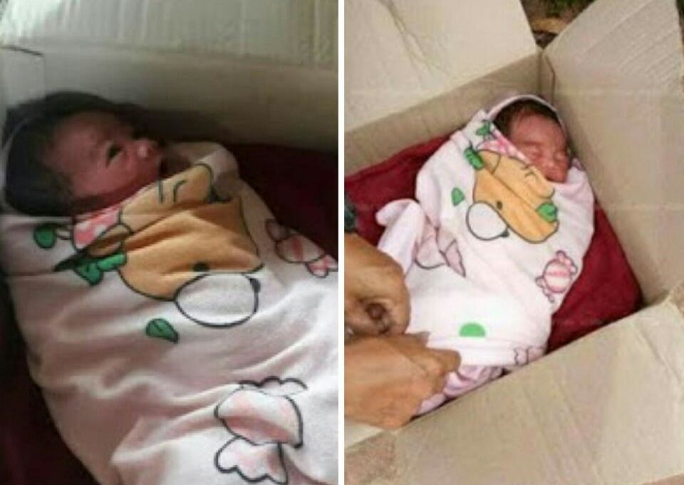 Newborn Baby Found Dumped In Carton Outside A House In Thailand