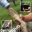 Snapchat Photos Showing Two Men Forcing Young Alligator To Drink Beer