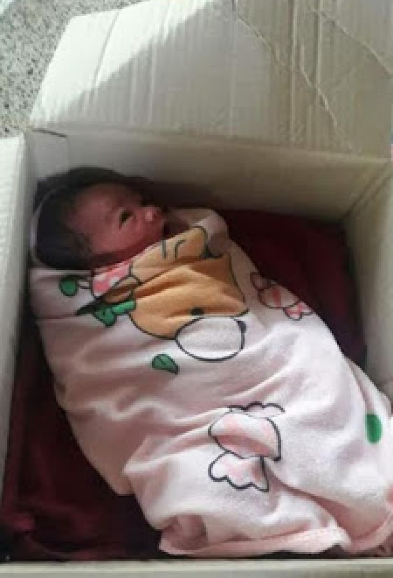 Newborn Baby Found Dumped In Carton Outside A House In Thailand 1
