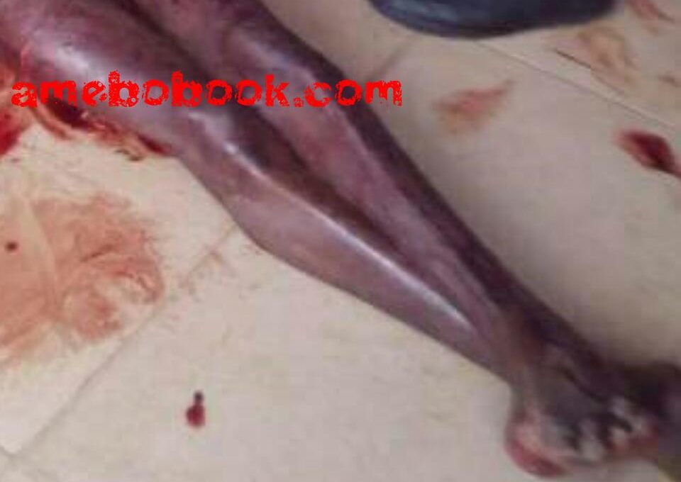 Ritualists Have Murdered And Butchered A Man At Igarra Market