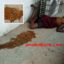 Woman Who Allegedly Gave Birth To Lizard In Port Harcourt