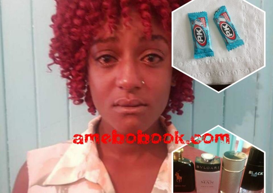 Elizabeth Wangui Mathenge 20-Year-Old Kenyan Lady Who Offered Man She Met At Nightclub Chewing Gum Laced With Drugs Then Stripped His House Of Valuables