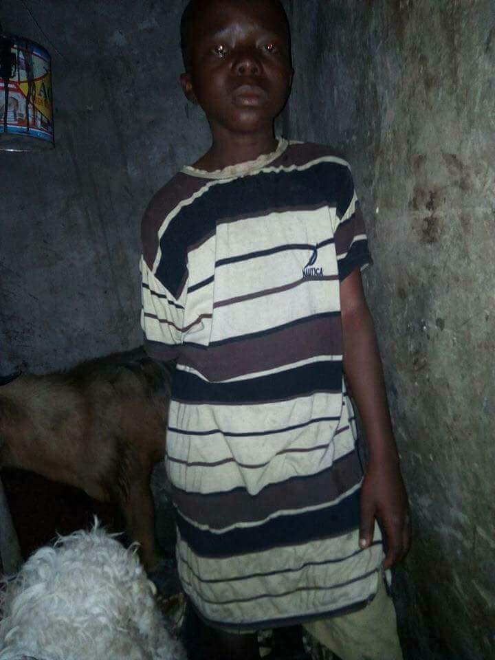 Houseboy Chained And Locked Up In Cage With Goats In Lagos (2)
