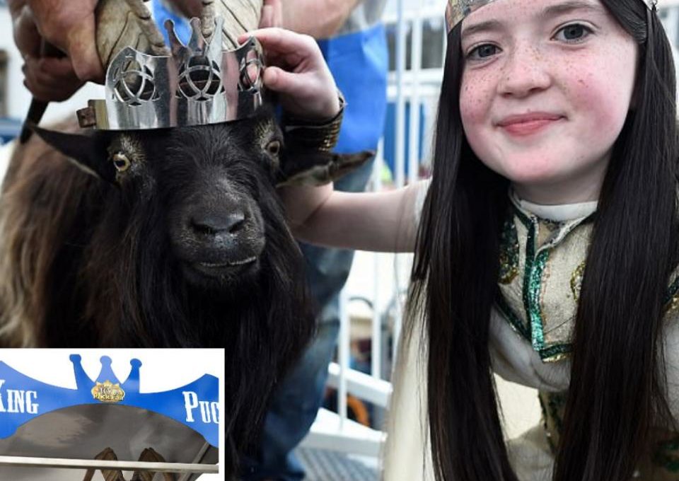 Goat Was Crowned King Of Small Town In Ireland