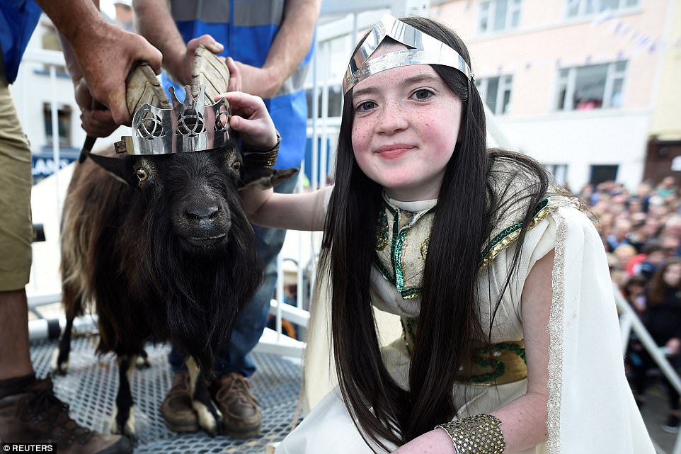 Goat Was Crowned King Of Small Town In Ireland (4)