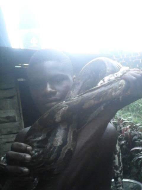 Young Nigerian Man Killed A Big Snake And Displayed It Around His Neck (3)