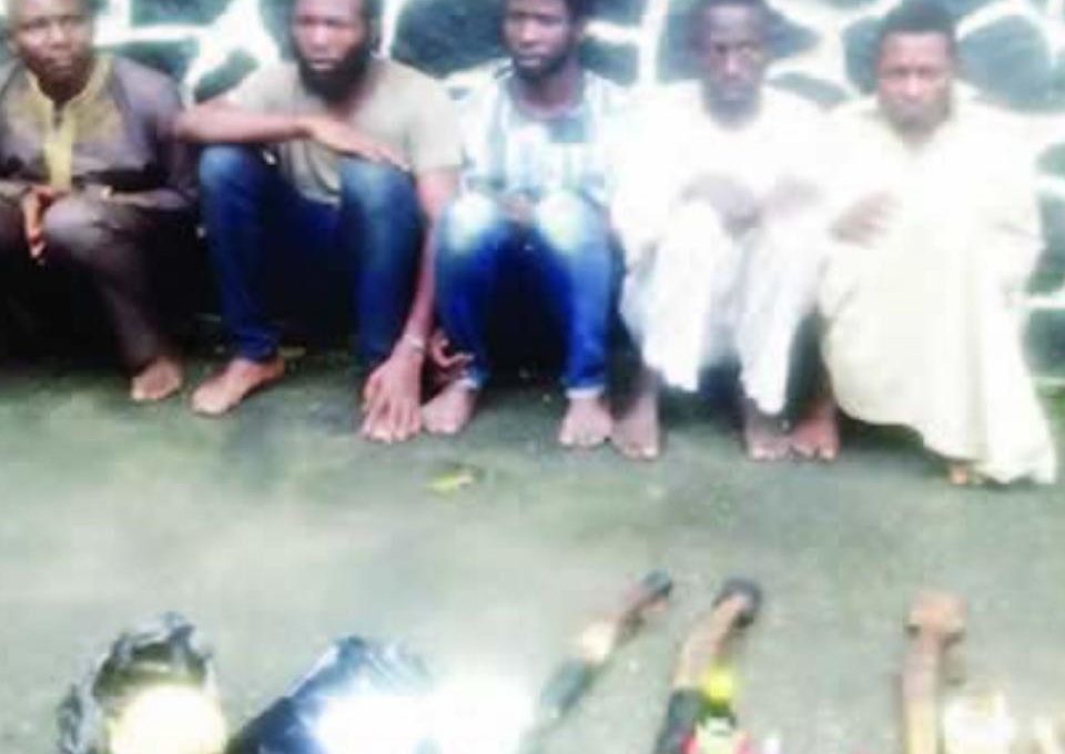 Suspected Cult Members Have Confessed To Selling Human Hands For N5,000 Each
