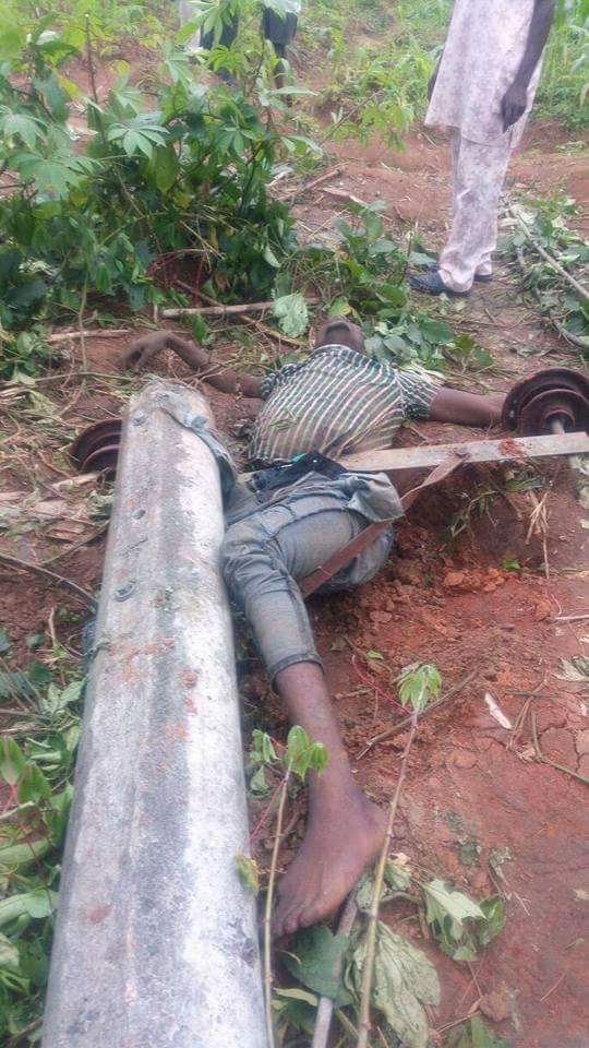 Man Dies After Pole Fell On Him While Attempting To Steal Electric Cables (3)