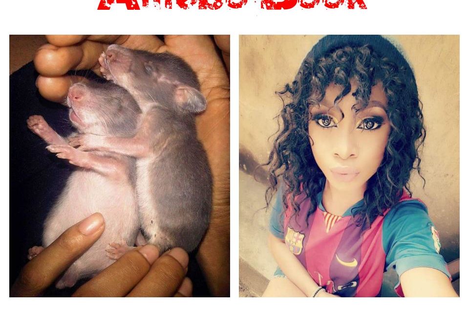 Nigerian Lady Mourns Her Two Late Giant Rats