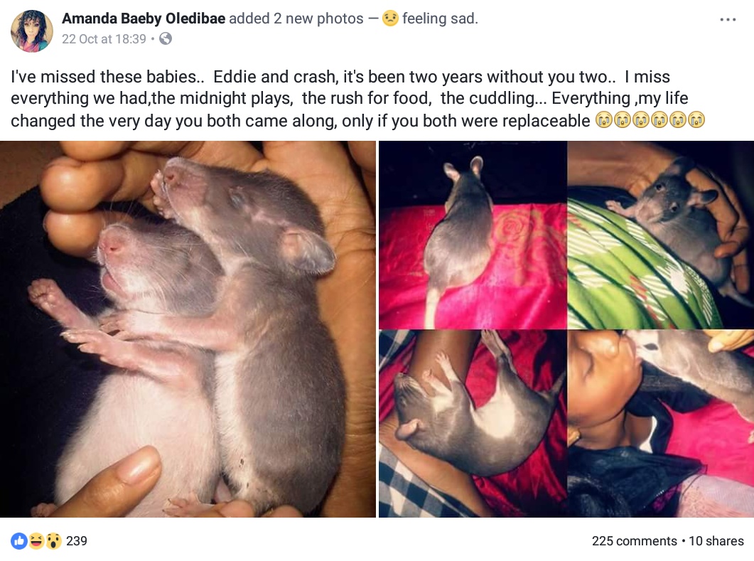 Nigerian Lady Mourns Her Two Late Giant Rats (1)