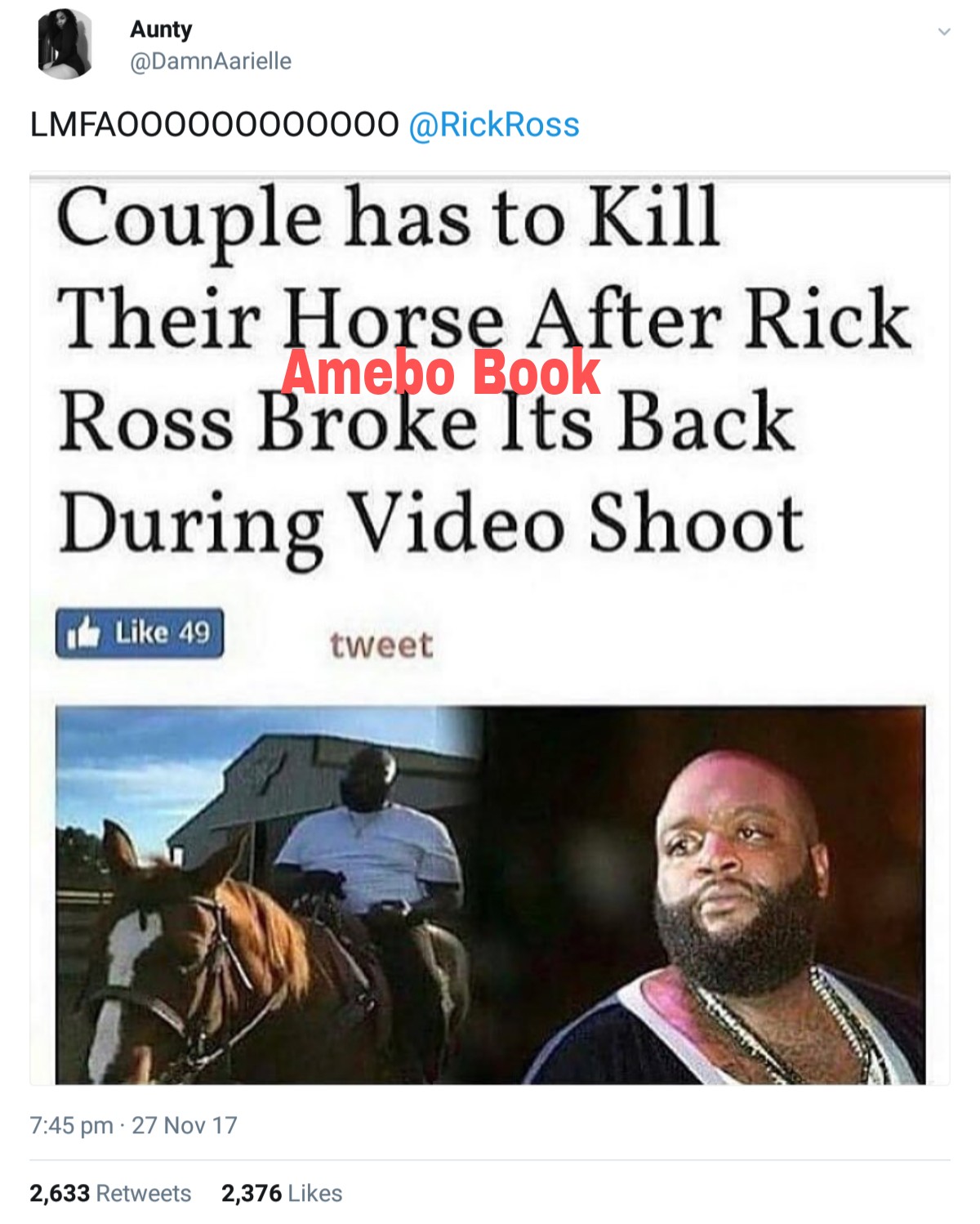 Rick Ross In Hilarious Exchange With Twitter User After She Shared Post On Couple Having To Kill Their Horse After Rapper Sat And Broke Its Back (2)