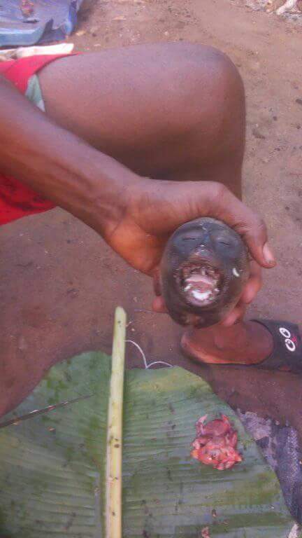 Nigerian Man Pictured Slaughtering Roasted Monkey He Just Killed In Rivers State (3)