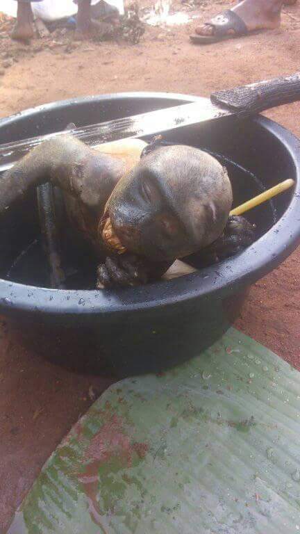 Nigerian Man Pictured Slaughtering Roasted Monkey He Just Killed In Rivers State (4)