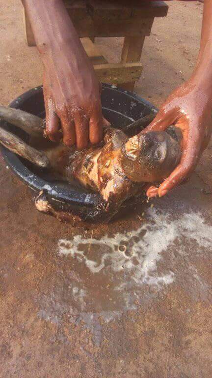 Nigerian Man Pictured Slaughtering Roasted Monkey He Just Killed In Rivers State (8)