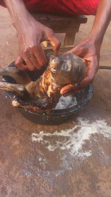 Nigerian Man Pictured Slaughtering Roasted Monkey He Just Killed In Rivers State (10)