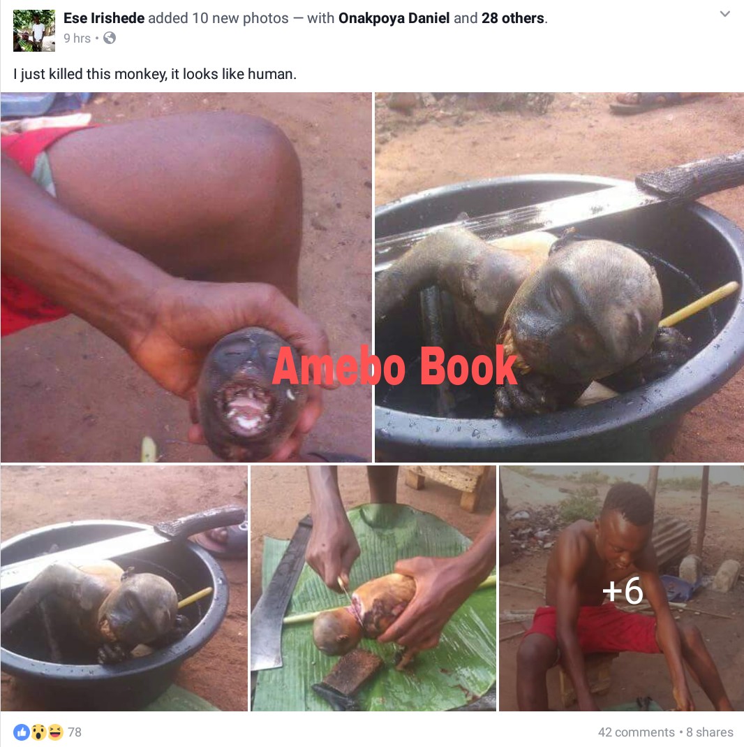 Nigerian Man Pictured Slaughtering Roasted Monkey He Just Killed In Rivers State (2)