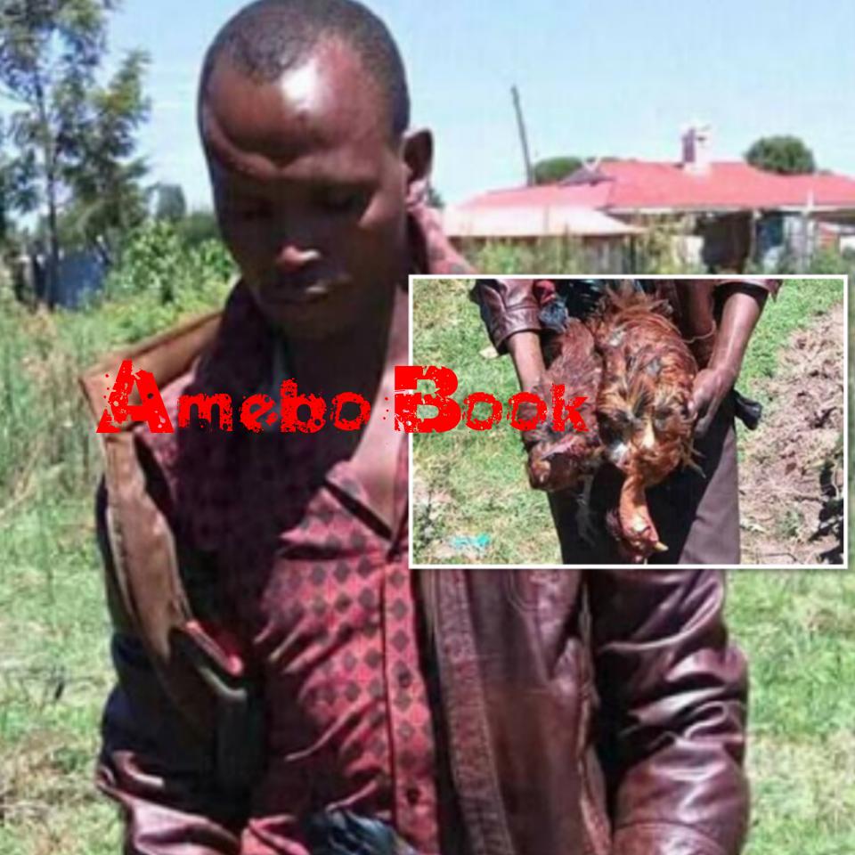 Man Stole His Neighbour's 2 Hens And Raped Them To Death