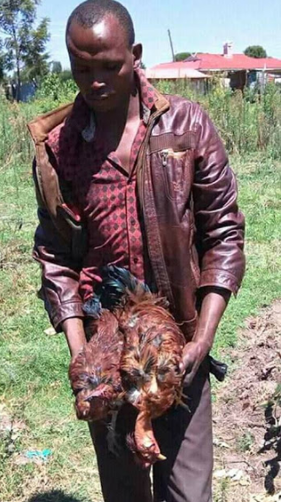 Man Stole His Neighbour's 2 Hens And Raped Them To Death (2)