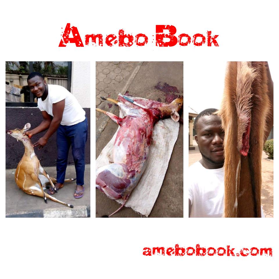 Nigerian Man Shows Off The Bush Meat He Killed After Hunting Expedition In Owerri