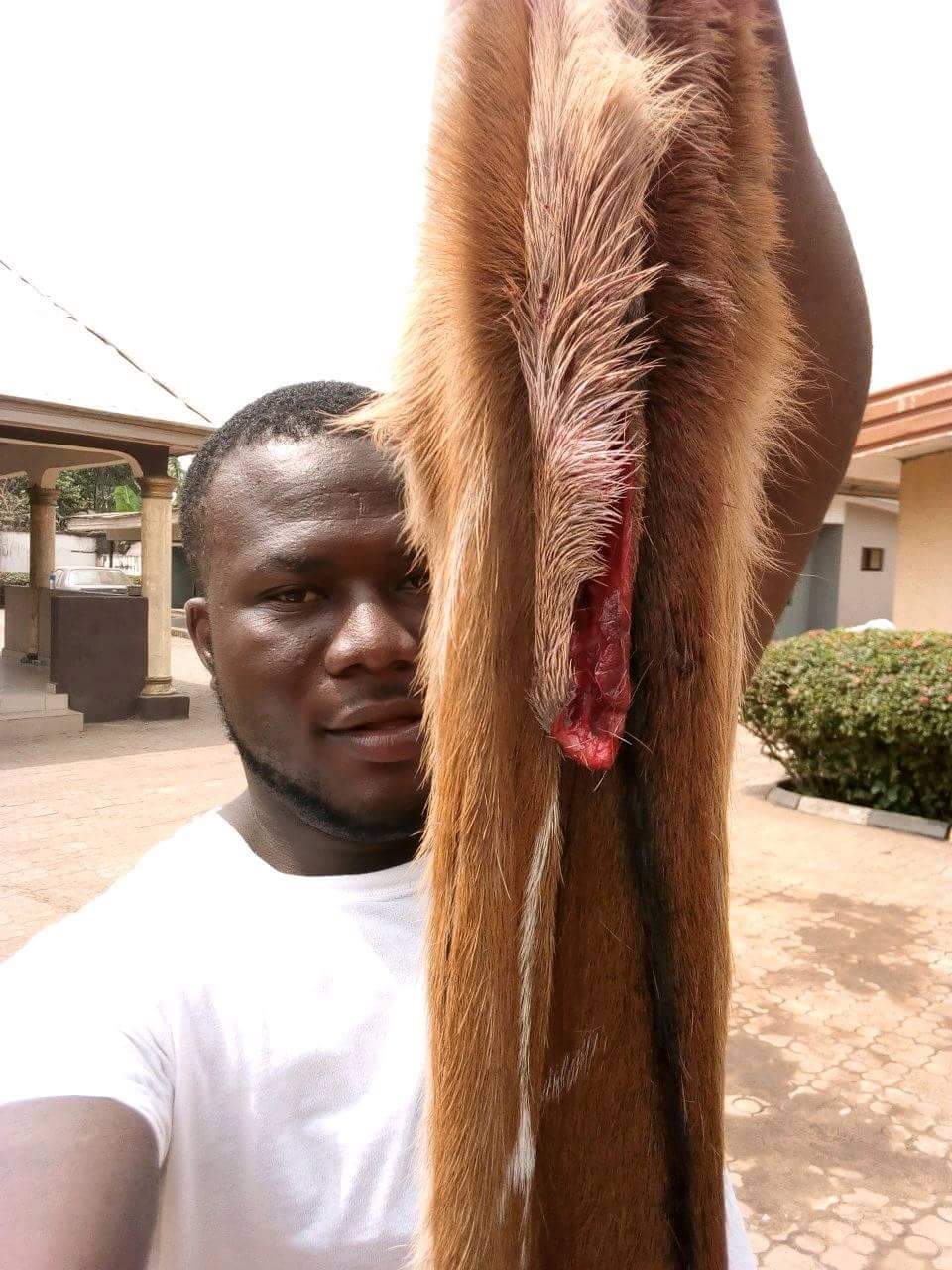 Nigerian Man Shows Off The Bush Meat He Killed After Hunting Expedition In Owerri (7)