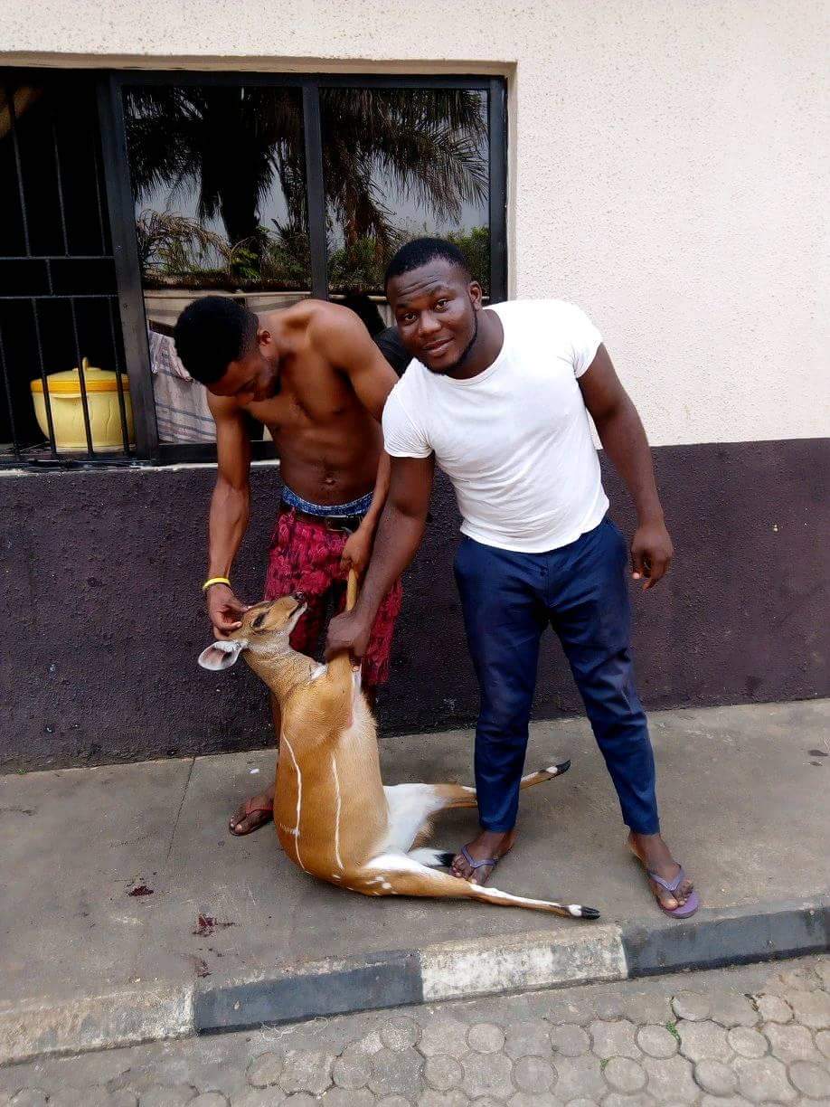 Nigerian Man Shows Off The Bush Meat He Killed After Hunting Expedition In Owerri (4)