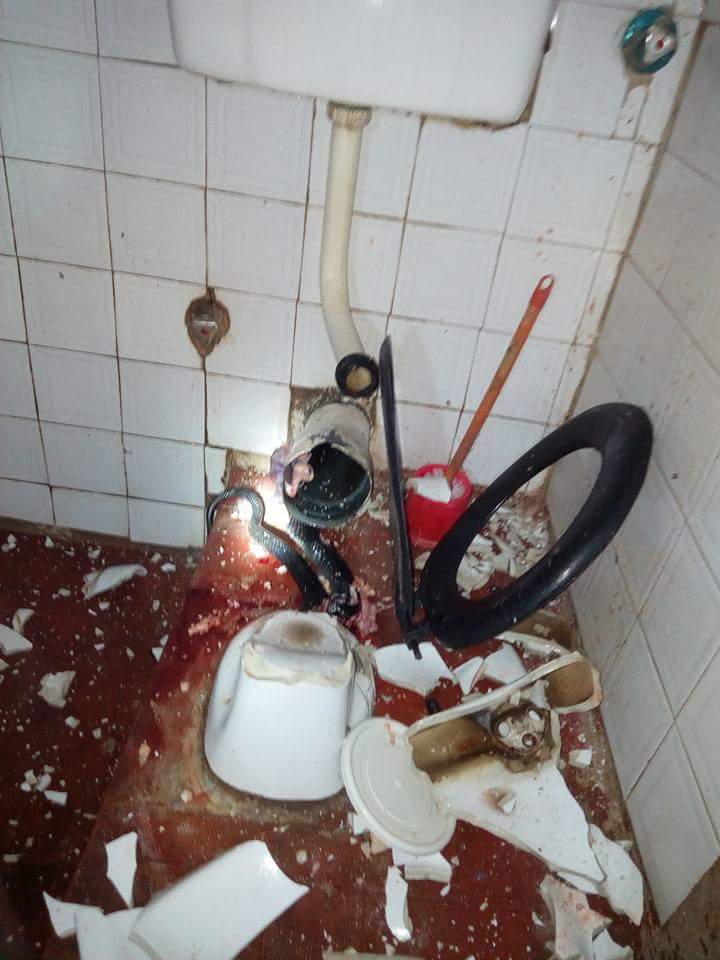 Man Narrates How Massive Cobra Was Killed In His Water Closet In Delta State (5)