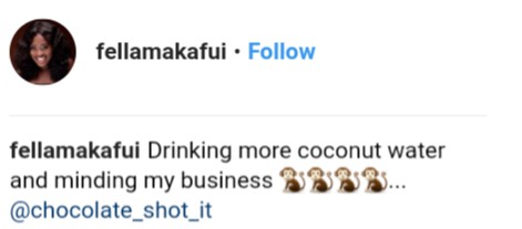 Fella Makafui Reacted To The Moesha Boduong CNN Interview (3)