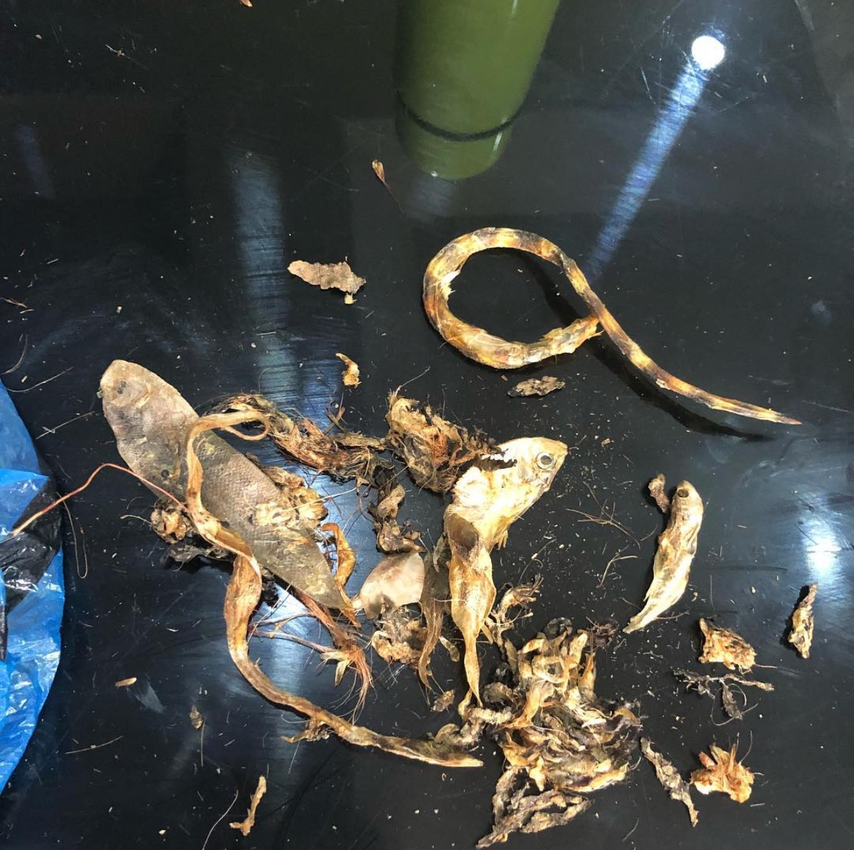 Mary Remmy Raises Alarm After Finding Dried Snake In Crayfish (3)