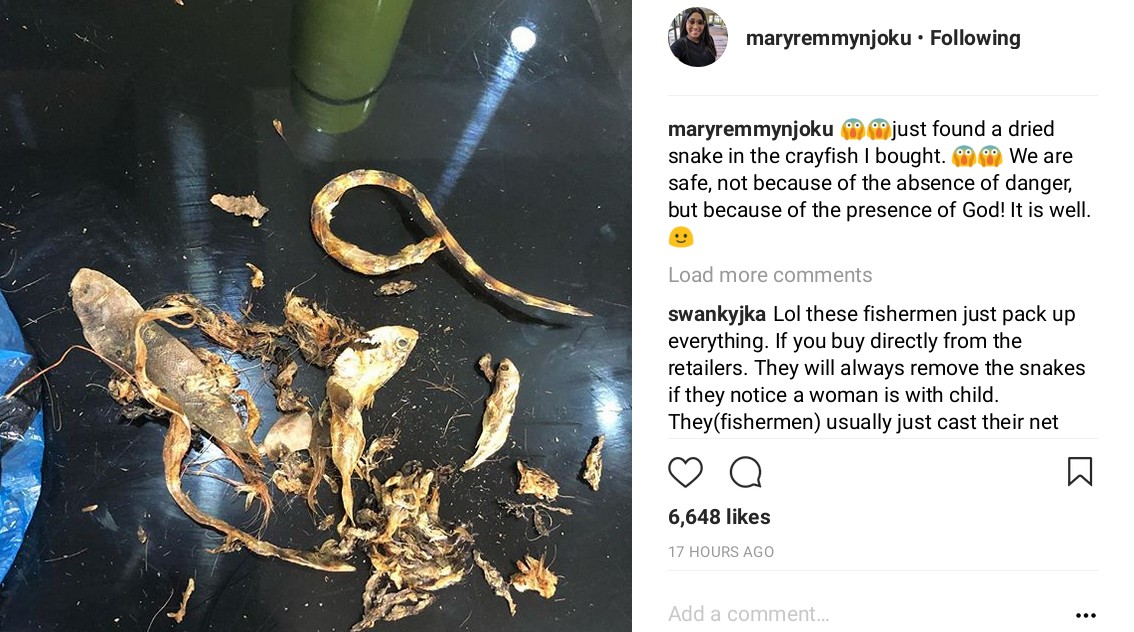 Mary Remmy Raises Alarm After Finding Dried Snake In Crayfish (2)