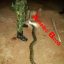 Nigerian Soldier Kills And Cooks Huge Python That Bit Him