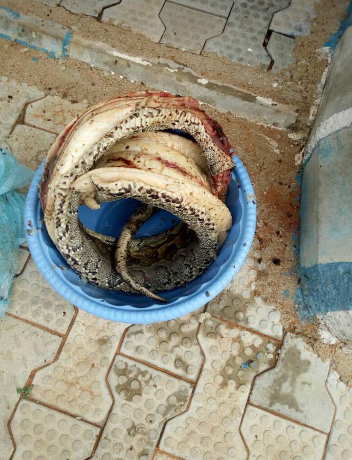 Nigerian Soldier Kills And Cooks Huge Python That Bit Him (3)