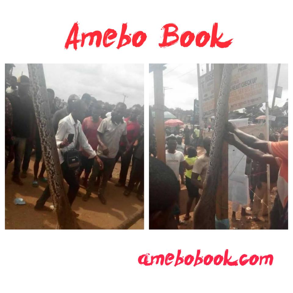 Man Kills Python That Swallowed His Dog In Anambra