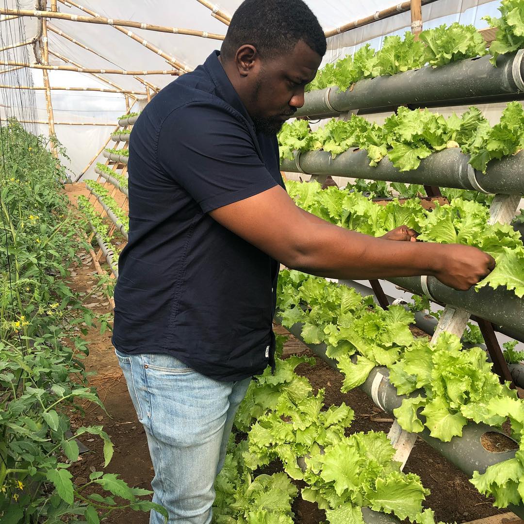 Agriculture Is The Only Way Forward — John Dumelo (2)