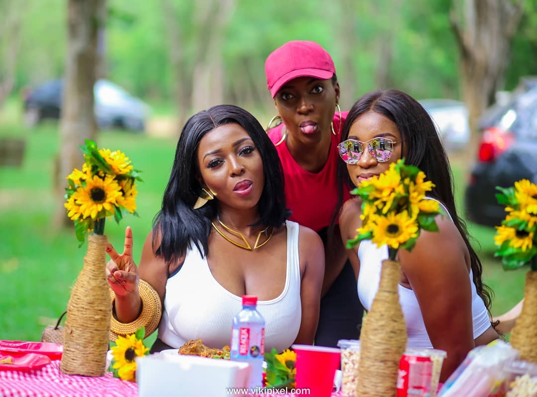 Yvonne Okoro Birthday Picnic (11)