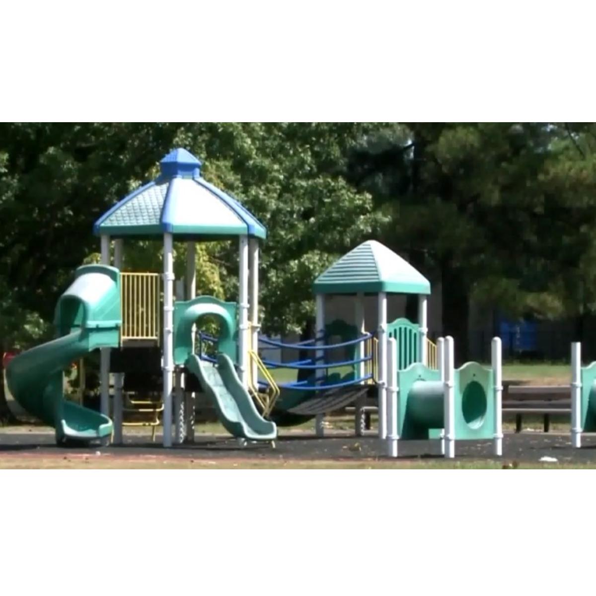 Grandmother Grandkids Robbed At Gunpoint Memphis Park