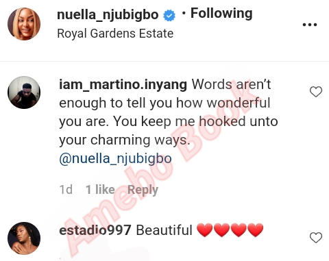 Nuella Njubigbo Words Aren’t Enough Wonderful You Are (2)