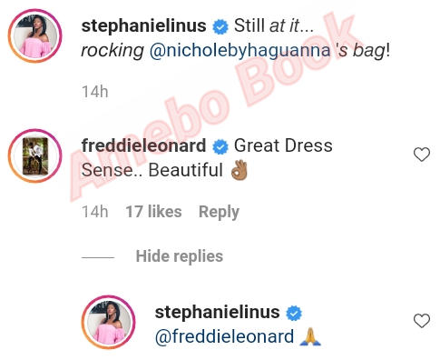 Stephanie Linus Beautiful Great Dress Sense (2)