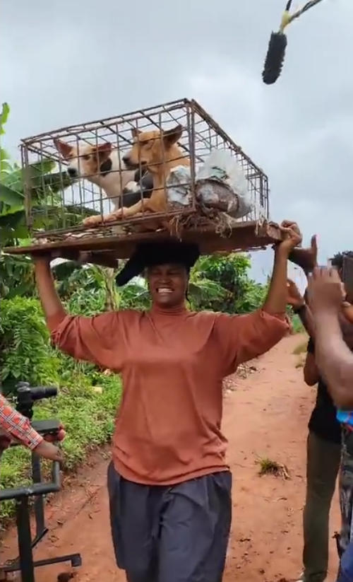 Chizzy Alichi Carrying 3 Dogs On Her Head (3)