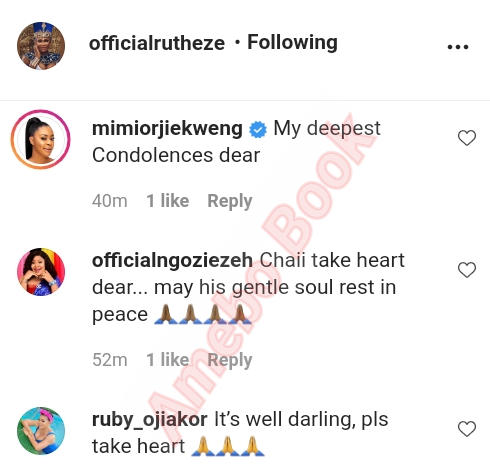 Ruth Eze Loses Dad (4)Amebo Book