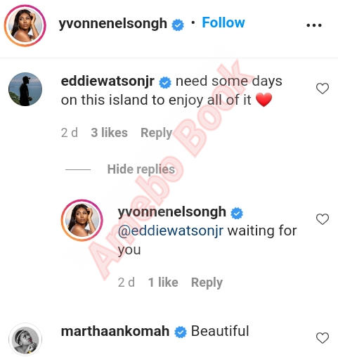 Eddie Watson Visit YNIsland Yvonne Nelson (3)Amebo Book