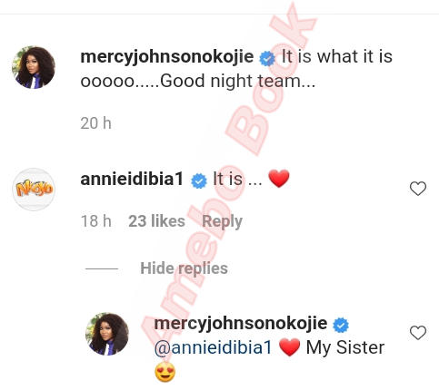 Mercy Johnson And Annie Idibia Sisterly Love (2)